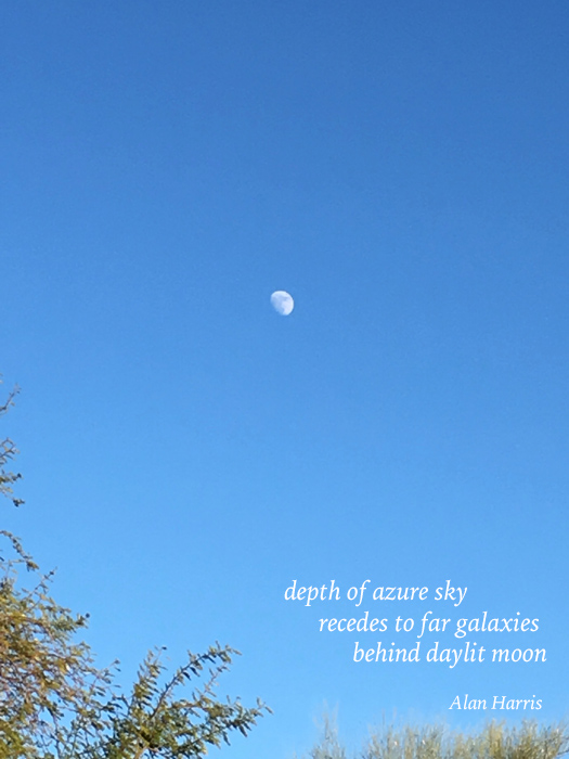 haiga, depth of azure sky